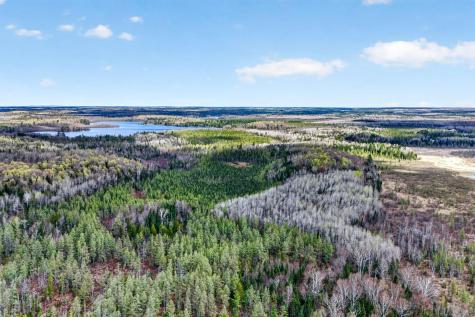 8225 N Blaisdell Lake Road Winter WI 54896