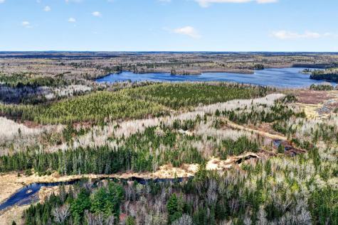 8225 N Blaisdell Lake Road Winter WI 54896