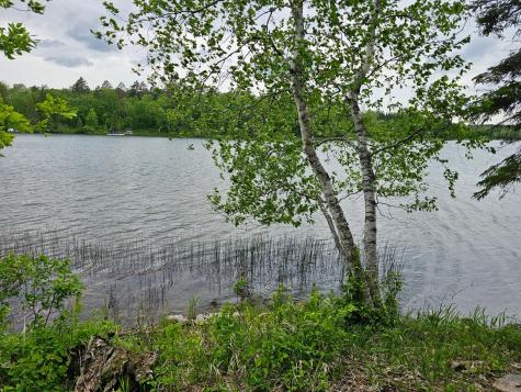 35365 E Boot Lake Road Park Rapids MN 56470
