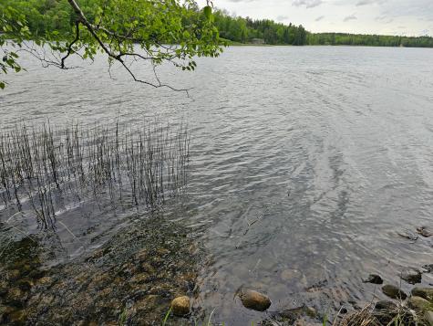 35365 E Boot Lake Road Park Rapids MN 56470