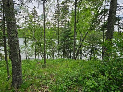 35365 E Boot Lake Road Park Rapids MN 56470