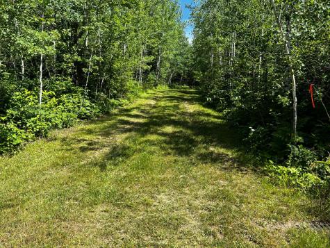 18219 Majestic Hideaway Way Nashwauk MN 55769