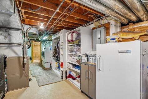 2908 Roosevelt Street NE Saint Anthony MN 55418