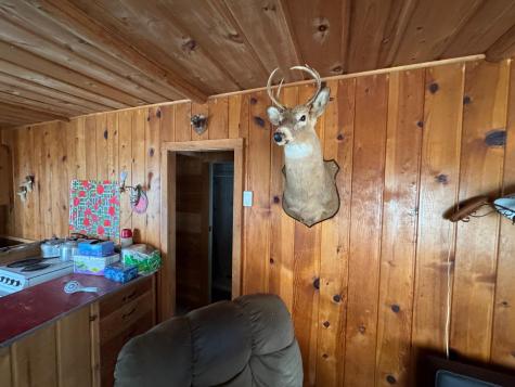 25845 Lou Rayne Beach Road NE Waskish MN 56685