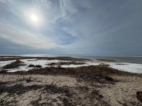 25845 Lou Rayne Beach Road NE Waskish MN 56685