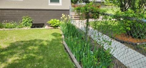 1019 Ash Street Alexandria MN 56308