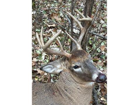 12157 Butternut Road Brainerd MN 56401