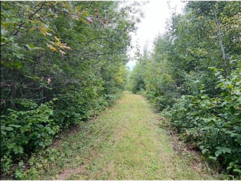 12157 Butternut Road Brainerd MN 56401