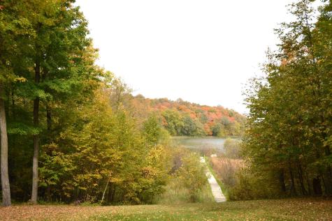 24885 Labrador Beach Road Pelican Rapids MN 56572