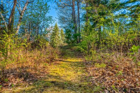 101 Summit Avenue W Walker MN 56484