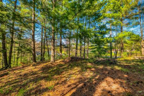 101 Summit Avenue W Walker MN 56484