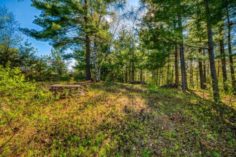 101 Summit Avenue W Walker MN 56484