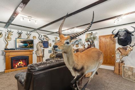 38630 Us Highway 169 Saint Peter MN 56082