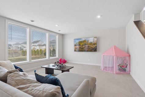 12933 Burr Oak Lane N Champlin MN 55316