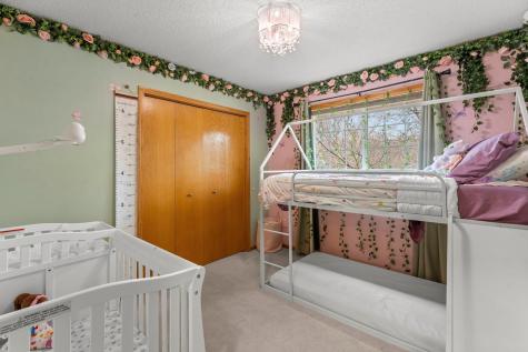 10924 Fox Hollow Lane N Champlin MN 55316