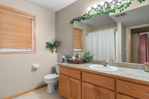 10924 Fox Hollow Lane N Champlin MN 55316