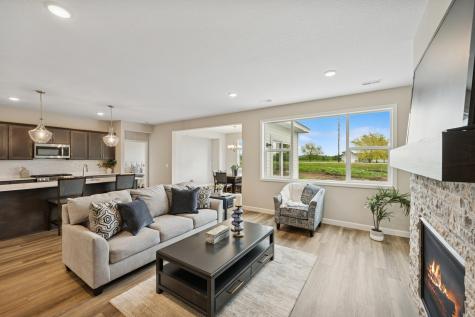 1009 Brandenburg Circle Waverly MN 55390
