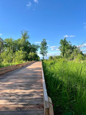 37538 Norwood Lane Battle Lake MN 56515