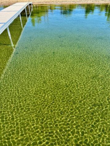 37538 Norwood Lane Battle Lake MN 56515