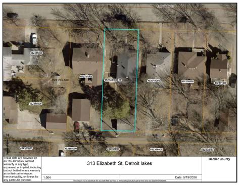 313 Elizabeth Street Detroit Lakes MN 56501