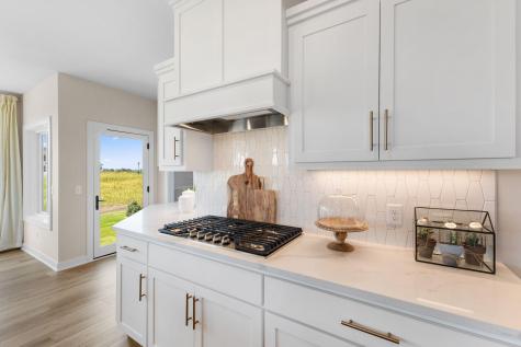 19533 Hamburg Avenue Lakeville MN 55044