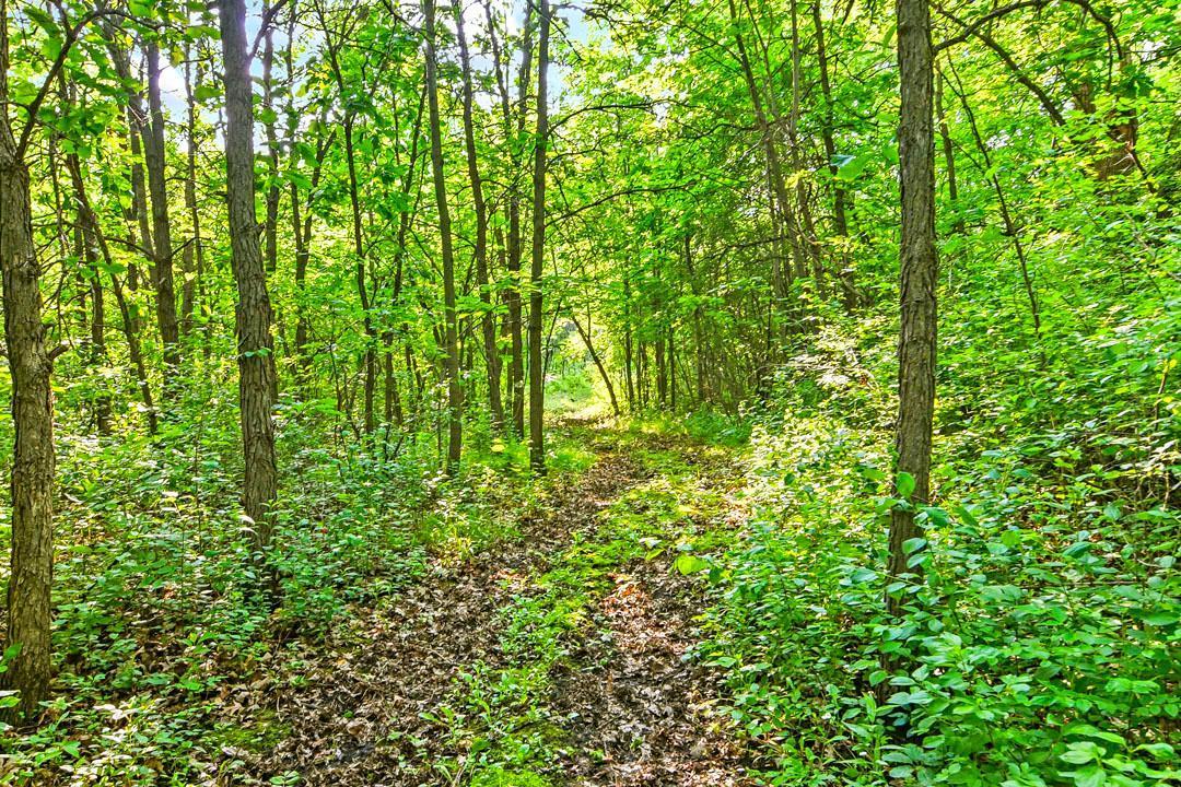 7458 39th Avenue NW Alexandria MN 56332