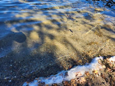 42219 Sugar Maple Drive Ottertail MN 56571