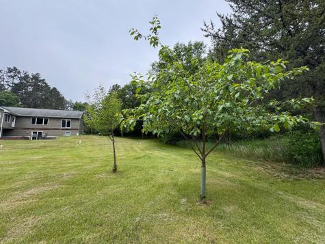 11672 147th Avenue Menahga MN 56464