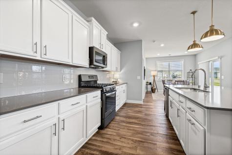 6099 Idsen Lane S Cottage Grove MN 55016