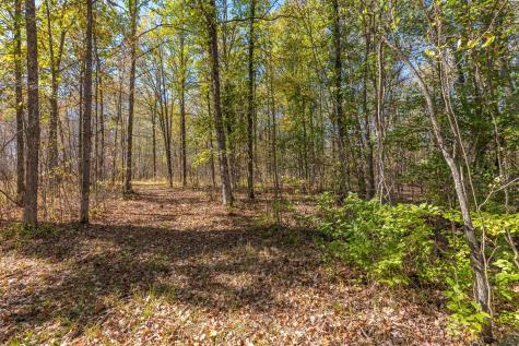 30205 190th Lane Isle MN 56342