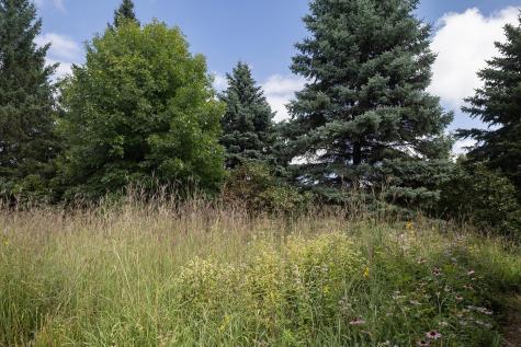 6 Robb Farm Road North Oaks MN 55127