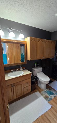43094 E Big Mcdonald Drive Dent MN 56528