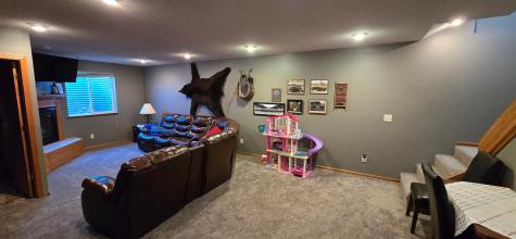 43094 E Big Mcdonald Drive Dent MN 56528