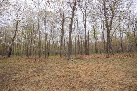 4565 Spinner Trail NE Remer MN 56672