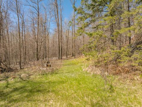 38243 Woodland Drive Deer River MN 56636
