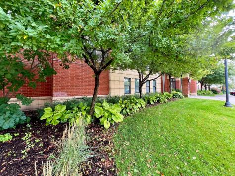101 Saint Olaf Avenue Northfield MN 55057