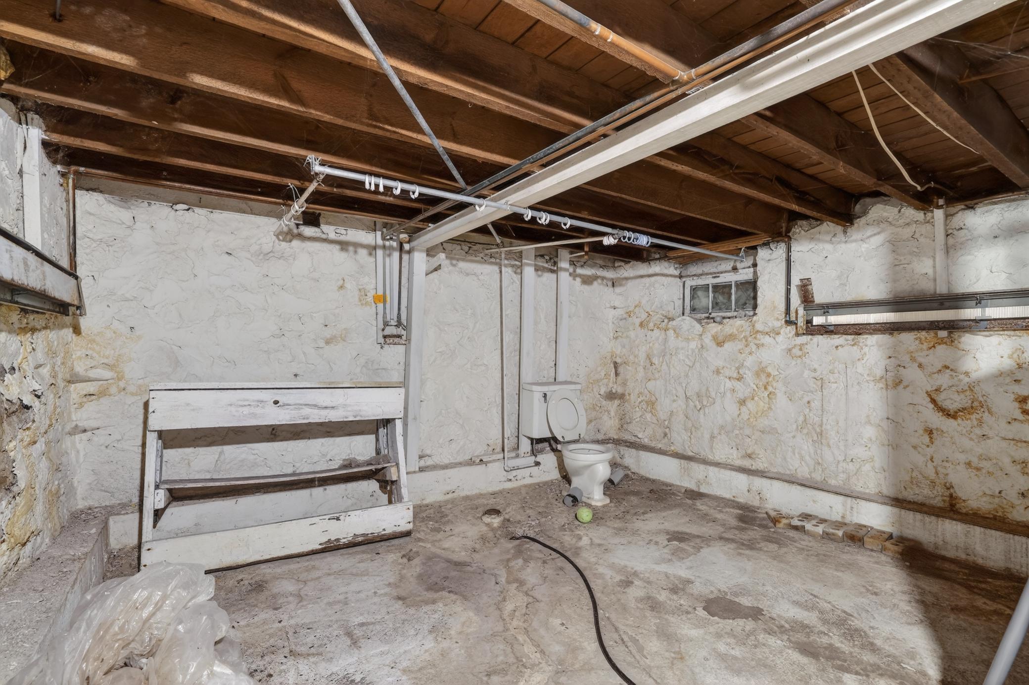 202 W Main Street Adams MN 55909