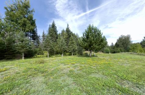7143 Highway 1 Finland MN 55603