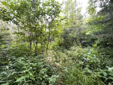 7143 Highway 1 Finland MN 55603