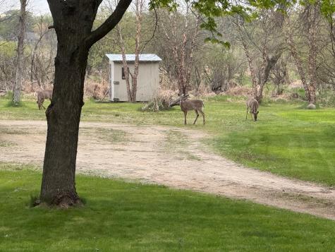 870 County Road F E Vadnais Heights MN 55127
