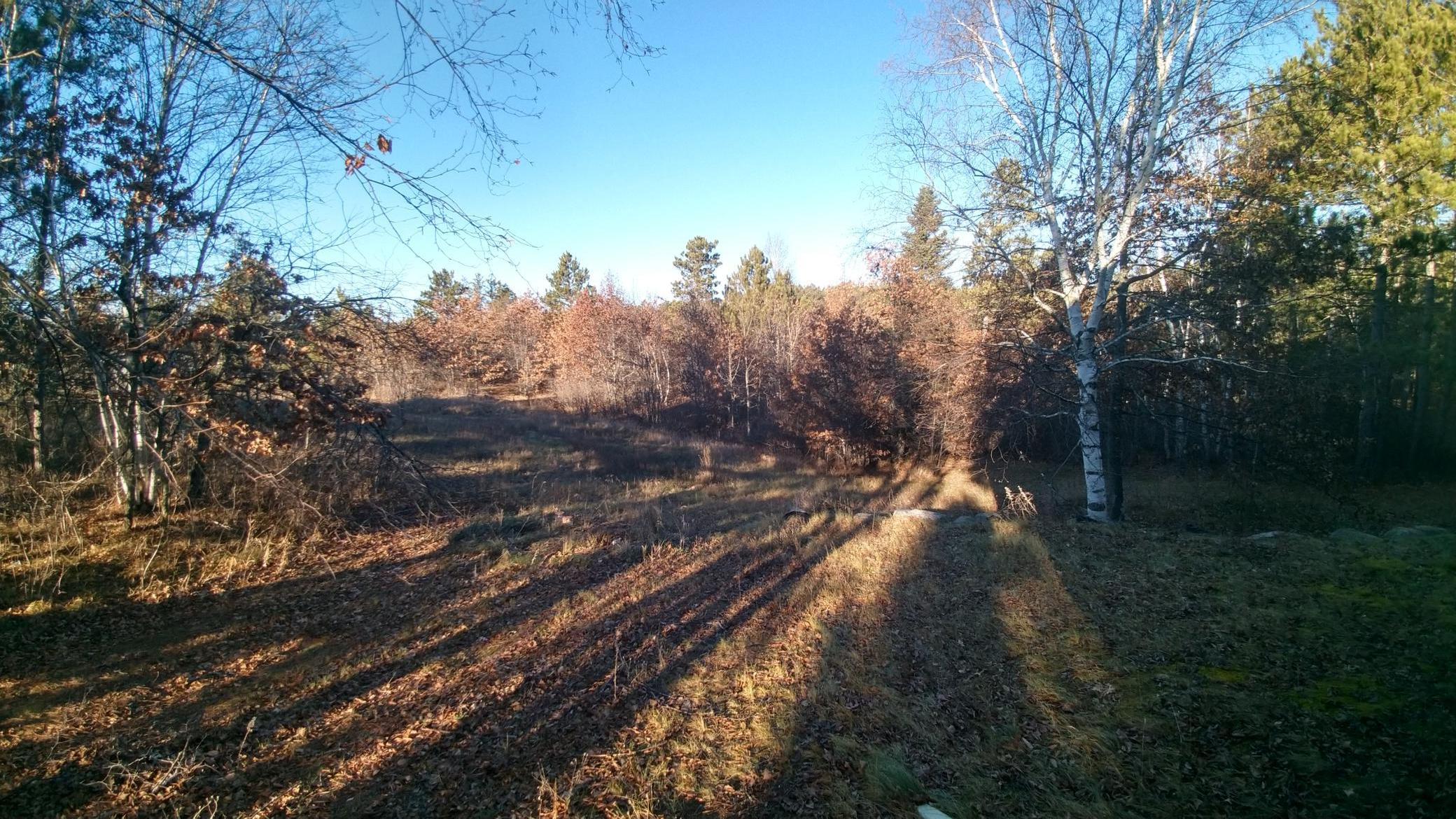 50164 County 29 Bemidji MN 56601