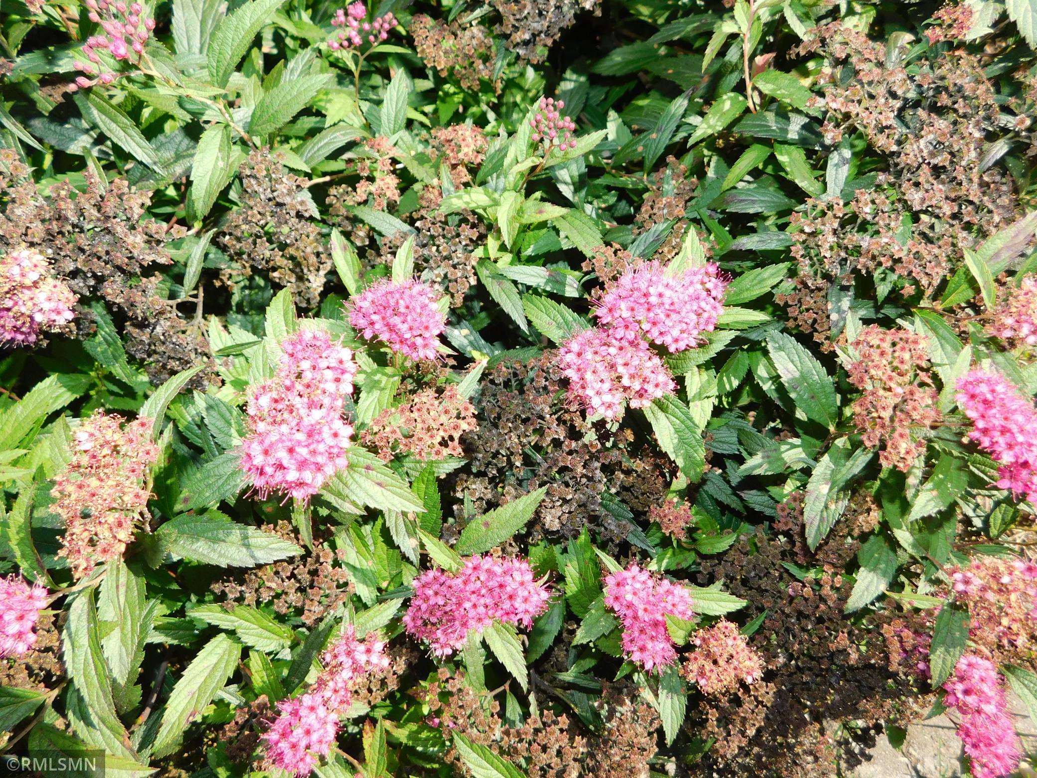 40559 321st Lane Aitkin MN 56431