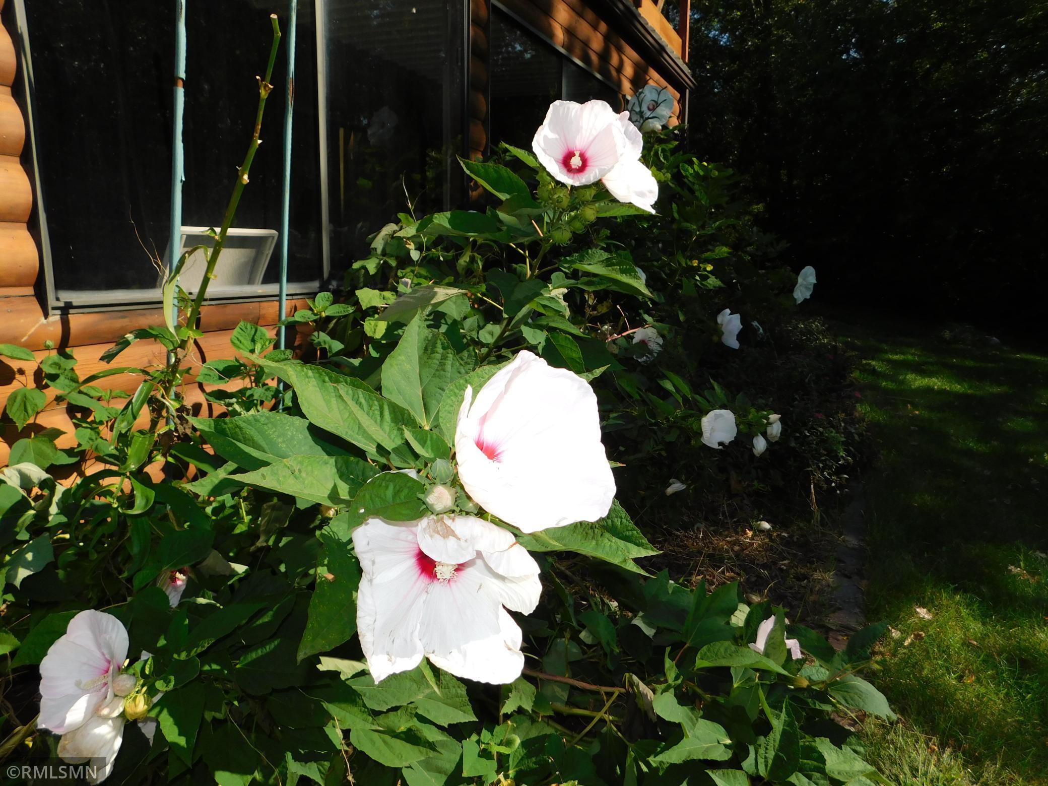 40559 321st Lane Aitkin MN 56431