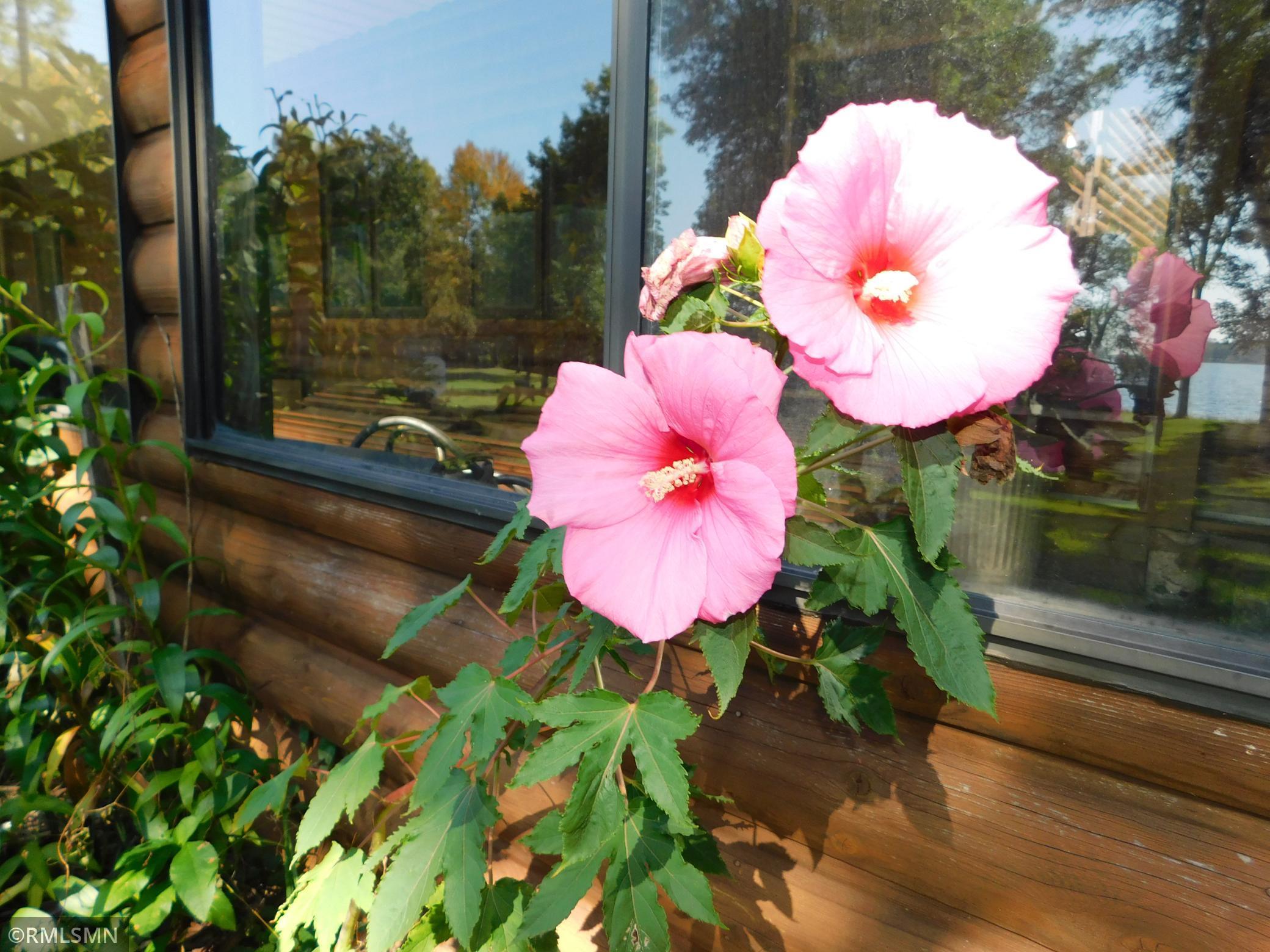 40559 321st Lane Aitkin MN 56431