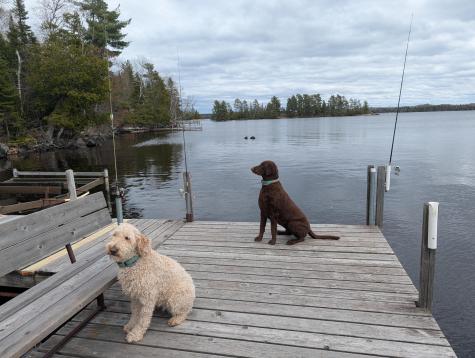 95175 Trapper Shack Bay Tower MN 55790