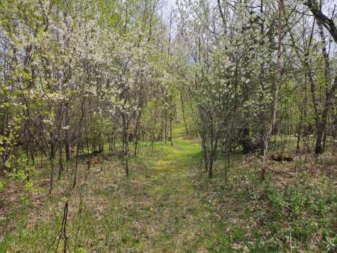 41721 County 2 Bagley MN 56621