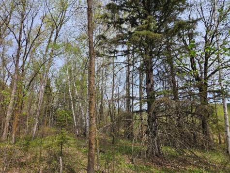 41721 County 2 Bagley MN 56621