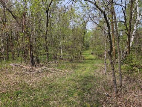 41721 County 2 Bagley MN 56621