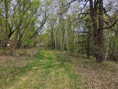 41721 County 2 Bagley MN 56621
