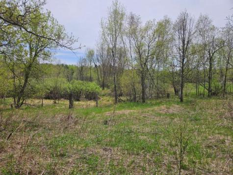 41721 County 2 Bagley MN 56621